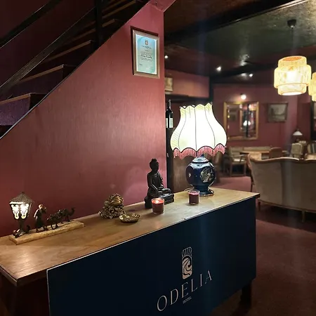Hotel Odelia *